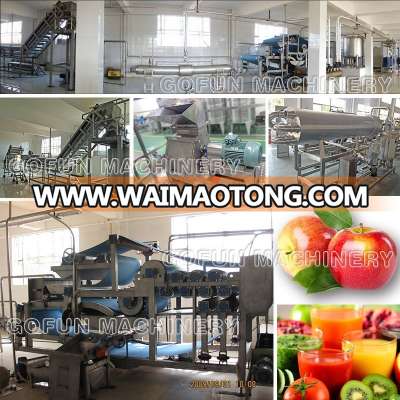 Fruit juice production line