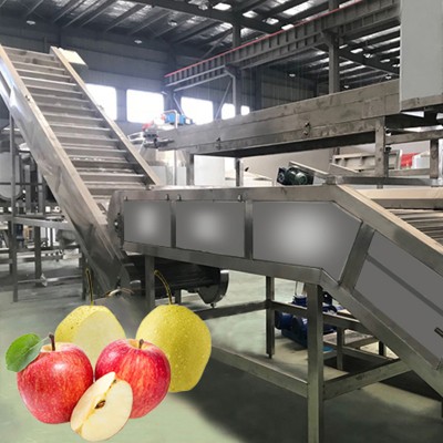 Fruit pulp processing line puree equipment machine shanghai