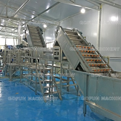 The leading manufacturer of automatic pineapple juice processing machine(fruit juice plant)