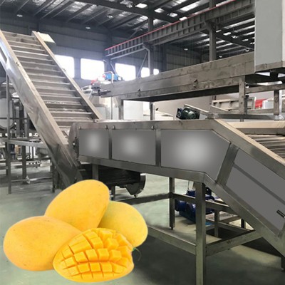 Natural turn key solution mango pulp puree processing plant